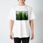 アトリエWindwingのキノコと苔テラリウム Regular Fit T-Shirt