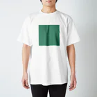 「Birth Day Colors」バースデーカラーの専門店の12月24日の誕生色「グリーン・スプルース」 Regular Fit T-Shirt