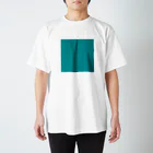「Birth Day Colors」バースデーカラーの専門店の12月28日の誕生色「ビリジアン・グリーン」 Regular Fit T-Shirt