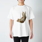 あーのちゃむぞう Regular Fit T-Shirt