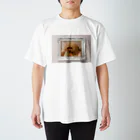 あこわーるどのバギーは世界を救う（背景あり） Regular Fit T-Shirt