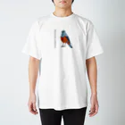 おぐらしほのイソヒヨドリ_正面 Regular Fit T-Shirt