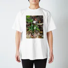 雑多屋さんの公園の野草 スタンダードTシャツ