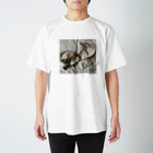 co_ki_tuのシャムネコとシャムトラネコ Regular Fit T-Shirt