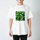 アトリエWindwingのお花型の苔 スタンダードTシャツ