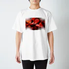 𝐾Ｓ'716'963'のよめちゃんシリーズ Regular Fit T-Shirt