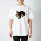 いくママ 猫との毎日の仲良し スタンダードTシャツ