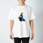 dpc drawingのヒクイドリ　cassowary スタンダードTシャツ