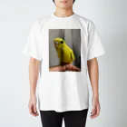 そらゆめインコのルチノーインコ Regular Fit T-Shirt