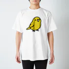 Cody the LovebirdのChubby Bird サザナミインコ Regular Fit T-Shirt