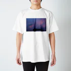 古見きゅう/ and 9 films オンラインショップ のラジャアンパットの落陽 スタンダードTシャツ