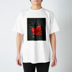Risa Arisawaの10周年Tシャツ スタンダードTシャツ