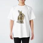 Gallery Neperoのきりっ（ぽんちゃん） Regular Fit T-Shirt