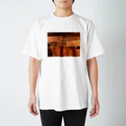 村民代表南川の人体くんシャツ Regular Fit T-Shirt