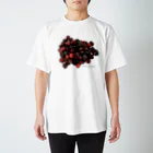 TANIKU-WANのブラックベリー咲き スタンダードTシャツ