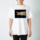 みつりんの夢の境地 Regular Fit T-Shirt