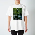 chan kumiの和柄　パワースポット滝 スタンダードTシャツ