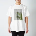 ほぺまる家のグリーンイグアナのほぺまるくん Regular Fit T-Shirt