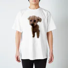 ぷ〜の家のぴかぴかの犬 Regular Fit T-Shirt
