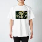 bitpiyoの黄色い薔薇の花 Regular Fit T-Shirt