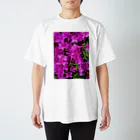 中川遥のピンクツツジ エレガンス コレクション Regular Fit T-Shirt