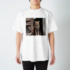 TAIYO 猫好きの美猫フォト スタンダードTシャツ