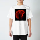 kkingmmajorのREDFISH Regular Fit T-Shirt