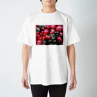 matsudaiのred スタンダードTシャツ