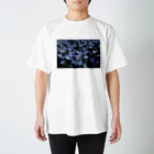 E_Officialのネモフィラ Regular Fit T-Shirt