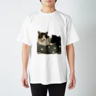 休職中のひとみちゃん家の猫様 スタンダードTシャツ