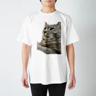 グレージュ猫ロッタン🐈‍⬛の緊張ロッタン Regular Fit T-Shirt