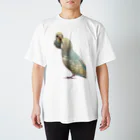 といの犬の鏡の中のもうヒとりｽﾀｰﾁｬﾝ Regular Fit T-Shirt