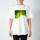 月曜日のなんだっけ Regular Fit T-Shirt