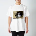 猫のお姫様のダンボール姫 Regular Fit T-Shirt