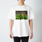 ★華霊KAREI★の神社林 スタンダードTシャツ