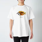 SHANO'S AQUARIUM SHOPのヒフキアイゴ スタンダードTシャツ