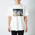 pict_tmfmの光 Regular Fit T-Shirt