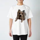 DACHSHUNDenpのツムツムT2 Regular Fit T-Shirt