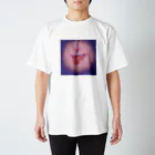 pandemixのんべっ Regular Fit T-Shirt