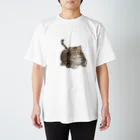 Tabby-catのもふもふとらねこ スタンダードTシャツ