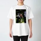 ふよだすの花を吸うミツバチ スタンダードTシャツ