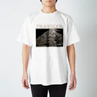 Naikwoo Surround official shopのバクタプルの遺産 スタンダードTシャツ