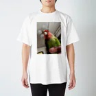 さえこランドのかわいいコロちゃん Regular Fit T-Shirt