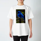 モノクロの青の鳥 スタンダードTシャツ