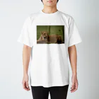 mayura_photoのサバンナのメスライオン スタンダードTシャツ