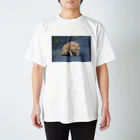 keosyzの睨む猫 Regular Fit T-Shirt