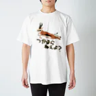 いきものや のの(本館)のつかまらねぇよ【スプリングボック】 Regular Fit T-Shirt