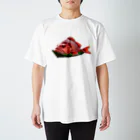 さかなですけど、何か⁉️の紅の宝石 Regular Fit T-Shirt