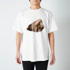 もふもふかふぇのKURUMI Regular Fit T-Shirt