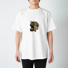 猫好きフリーターのキジトラふくよか猫 スタンダードTシャツ